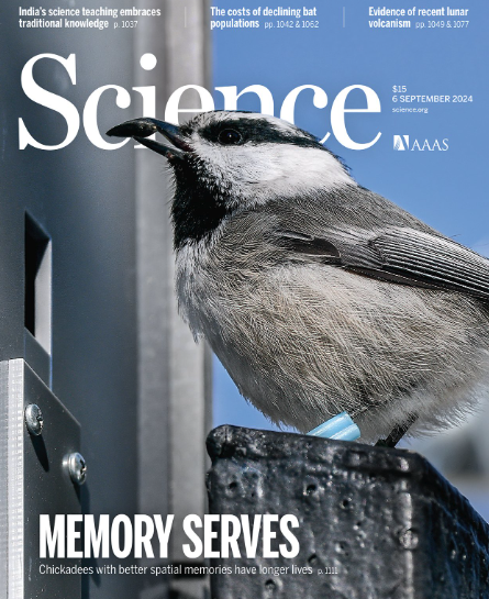 Spatial Memory Cover - Science